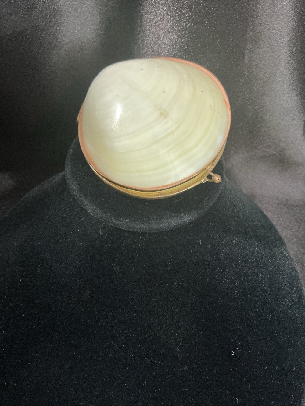 Pearl Shell Clamshell Trinket Box with Gold Trim